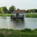 cabane sur l'eau